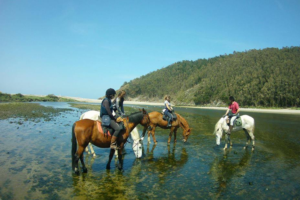 Rutas a caballo en Asturias - Oviñana